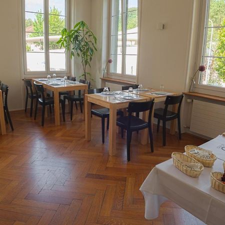 Guest House Dieci Allo Zoo Ζυρίχη Εξωτερικό φωτογραφία