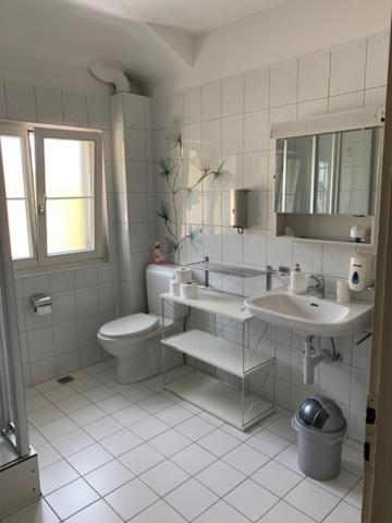 Guest House Dieci Allo Zoo Ζυρίχη Εξωτερικό φωτογραφία